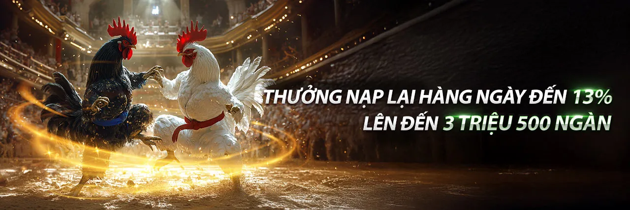 Hình ảnh chính blog cq988 link mới