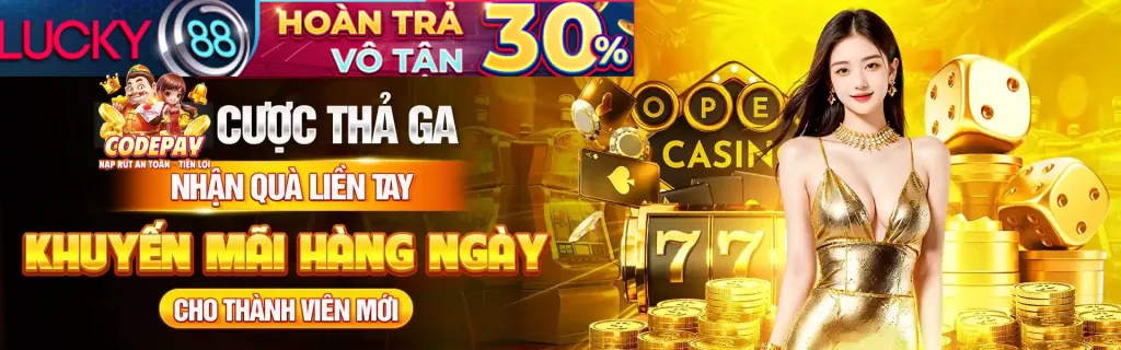 Hỗ trợ 24/7